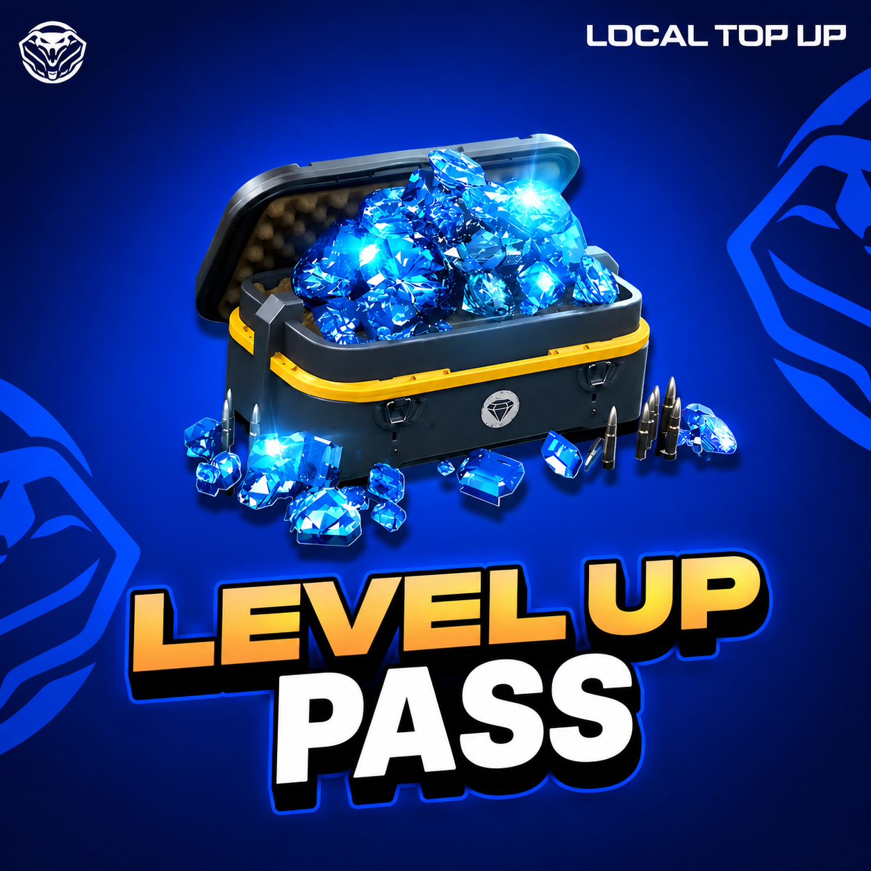 LEVEL UP PASS 